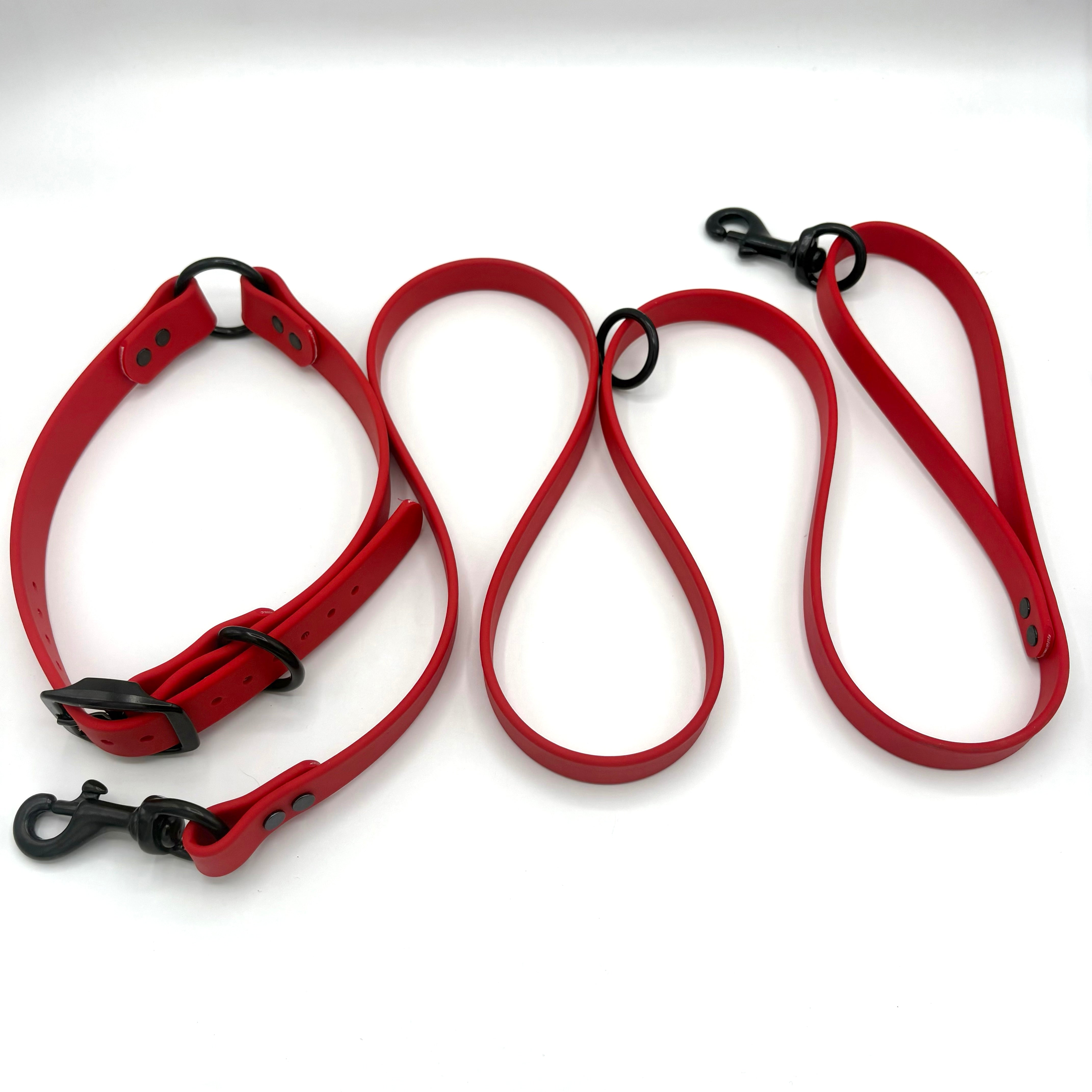 GDO BioThane Collar/Lead Combo
